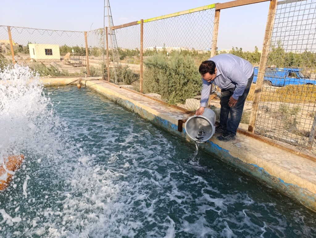 روشهای افزایش نسبت تولید در هکتار روشهای افزایش نسبت تولید در هکتار