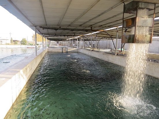 قابله با تنش دمایی قابله با تنش دمایی