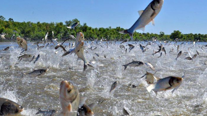 slide-7f072f7 slide-7f072f7